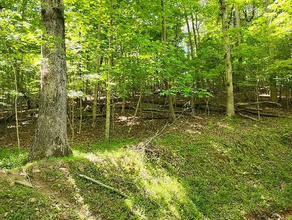 1 Acre of Residential Land for Sale in Ellijay, Georgia