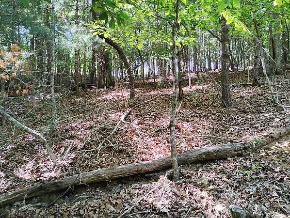 1 Acre of Residential Land for Sale in Ellijay, Georgia