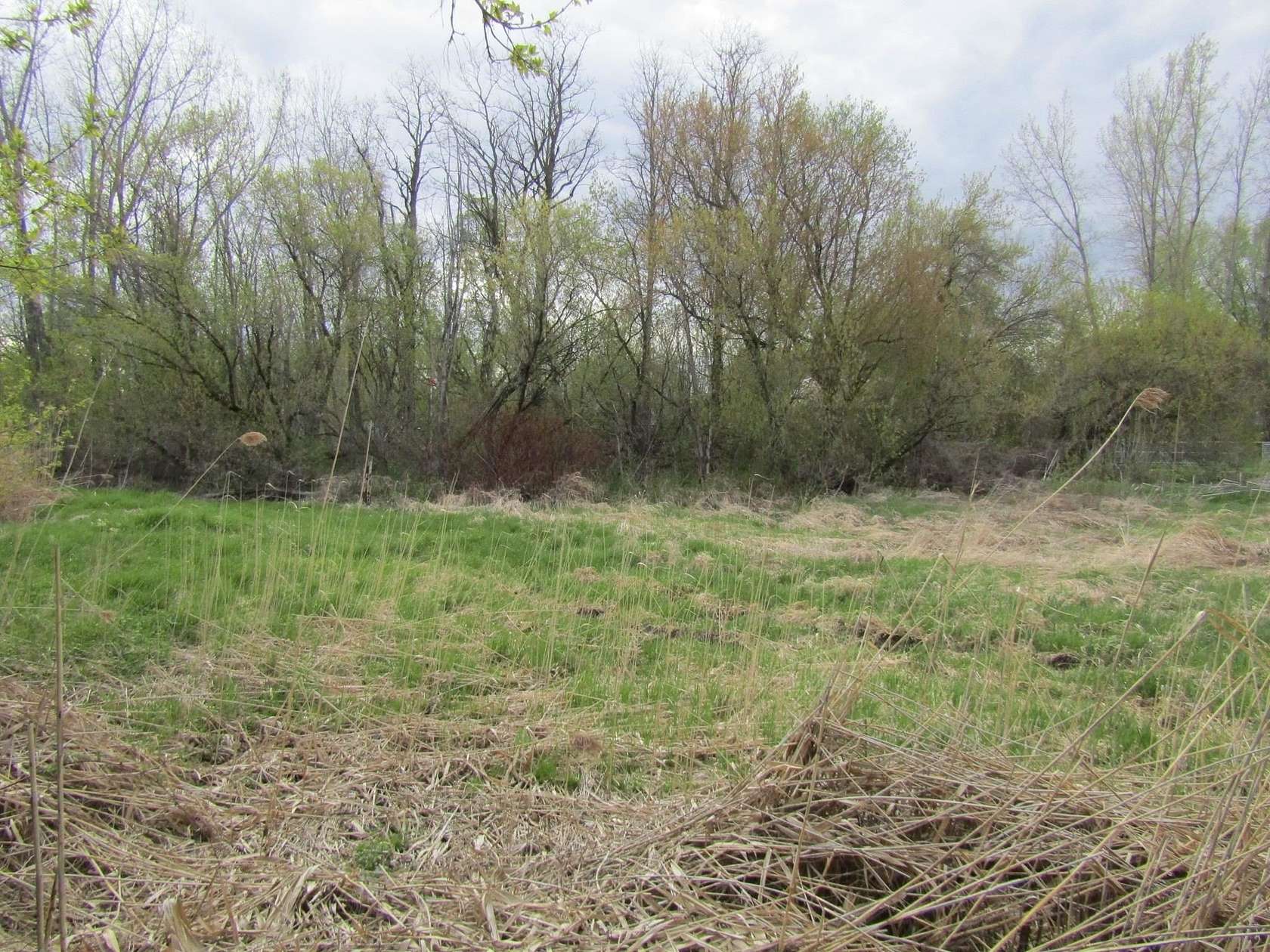 0.5 Acres of Residential Land for Sale in Alburgh, Vermont