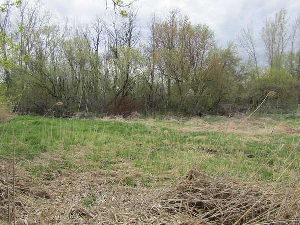 0.5 Acres of Residential Land for Sale in Alburgh, Vermont