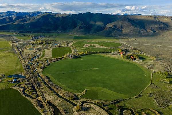 43.1 Acres of Land for Sale in Picabo, Idaho