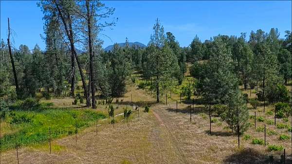 96 Acres of Agricultural & Residential Land for Sale in Redding, California