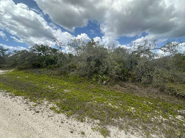 0.23 Acres of Residential Land for Sale in Lake Placid, Florida