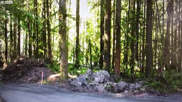 0.46 Acres of Residential Land for Sale in Rhododendron, Oregon