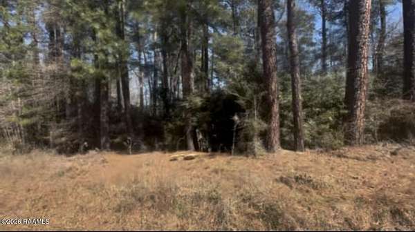 0.2 Acres of Residential Land for Sale in Many, Louisiana