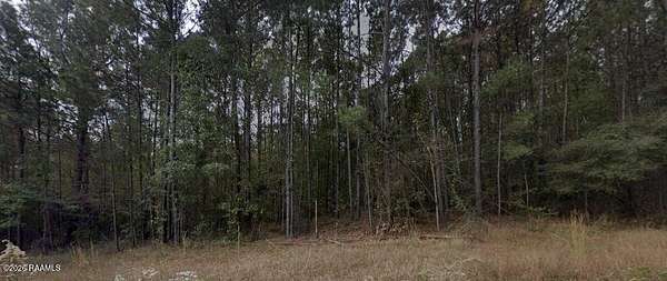 0.2 Acres of Residential Land for Sale in Many, Louisiana