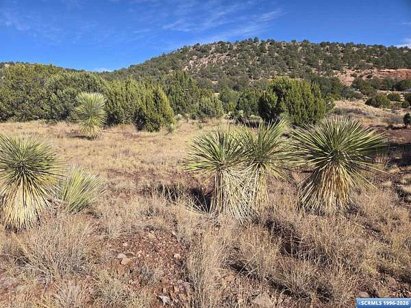 5 Acres of Residential Land for Sale in Silver City, New Mexico