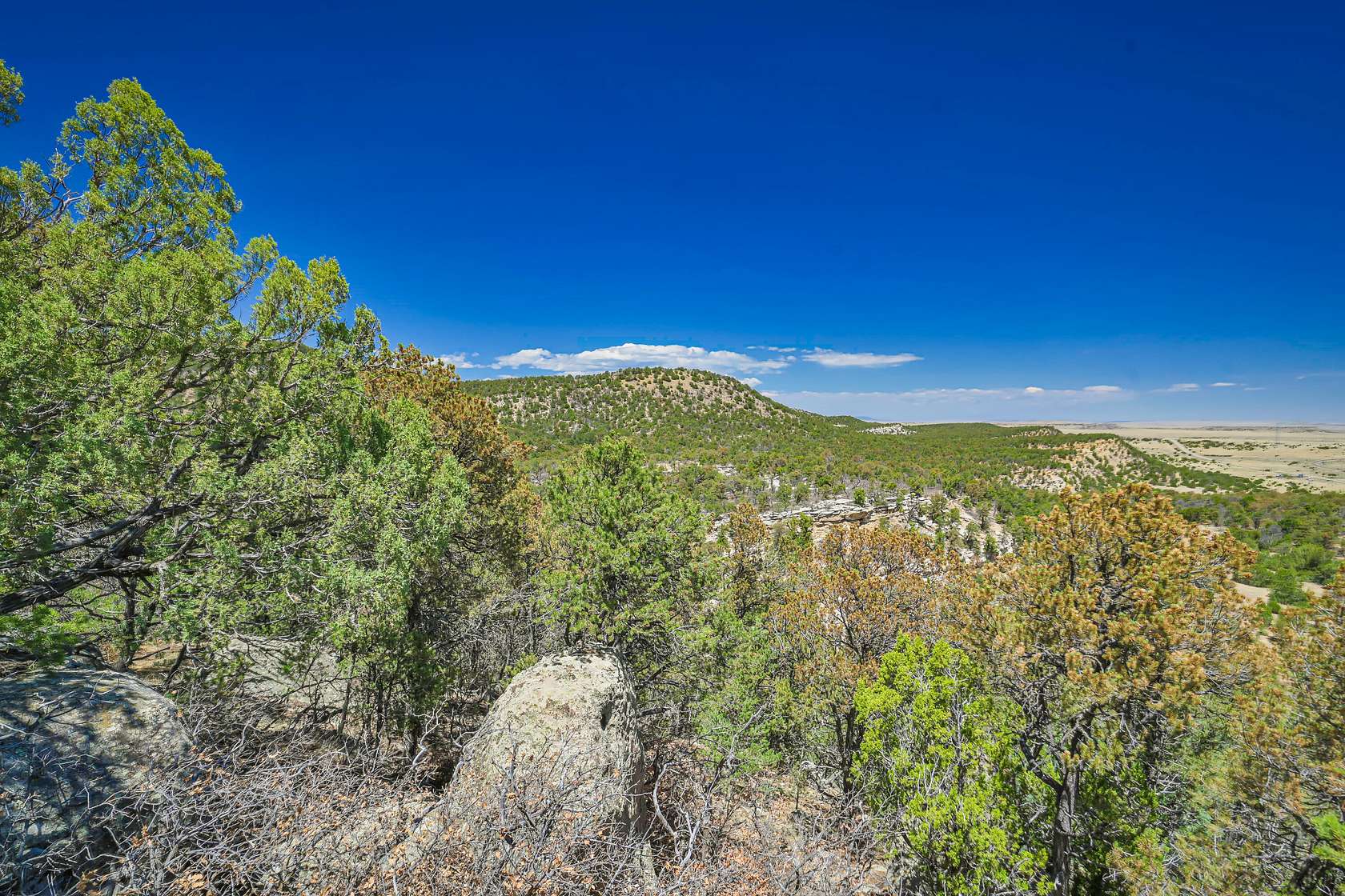 70 Acres of Land for Sale in Aguilar, Colorado
