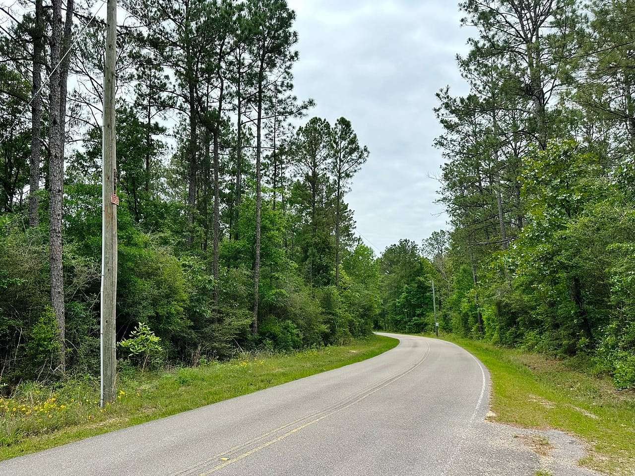 25 Acres of Land for Sale in Sumrall, Mississippi