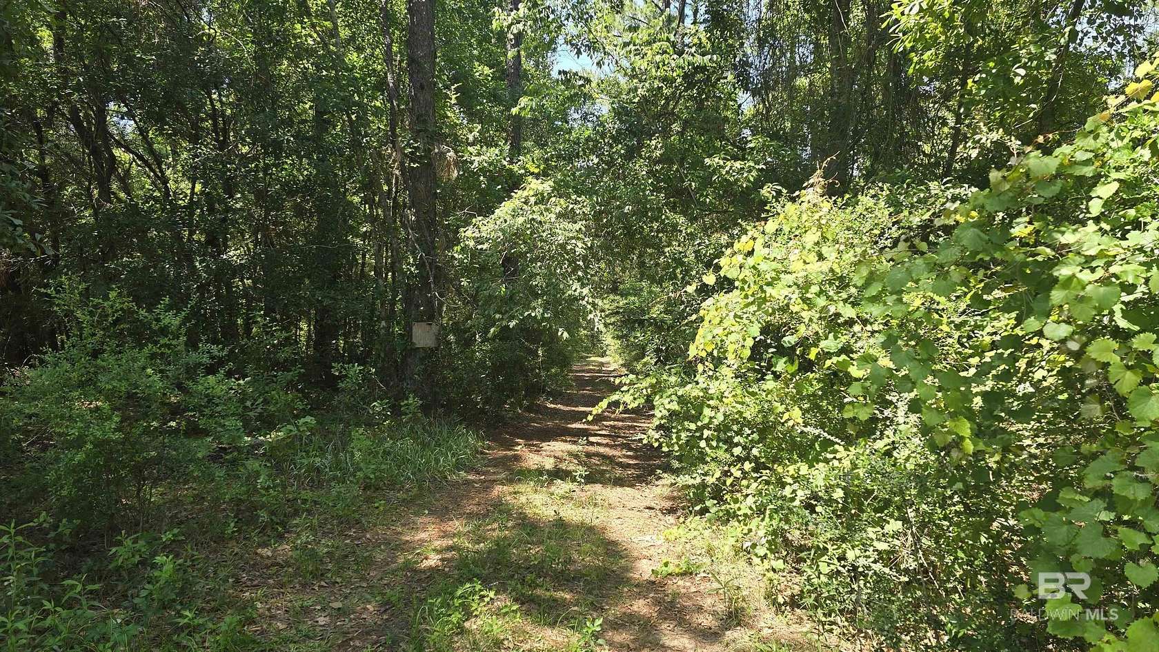 15 Acres of Land for Sale in Silverhill, Alabama