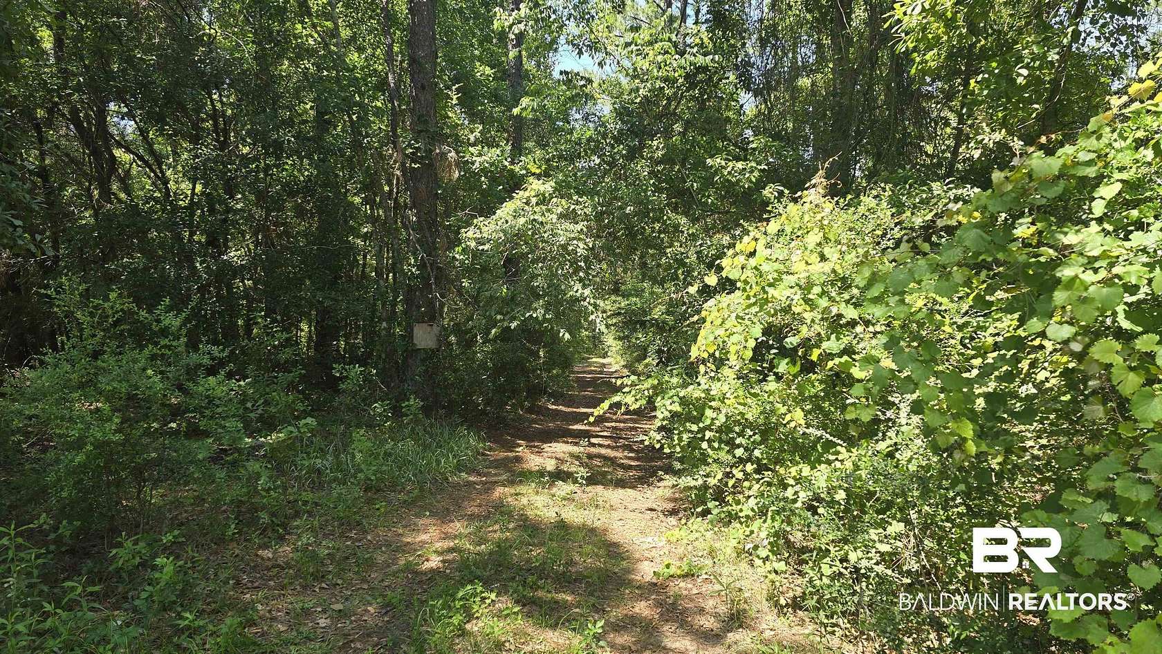15 Acres of Land for Sale in Silverhill, Alabama