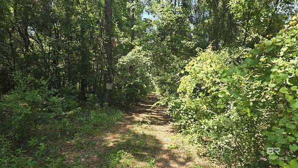 15 Acres of Land for Sale in Silverhill, Alabama
