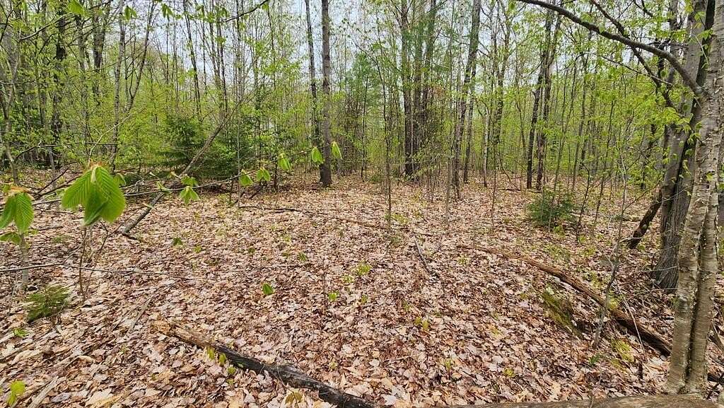0.47 Acres of Land for Sale in Wilton, Maine