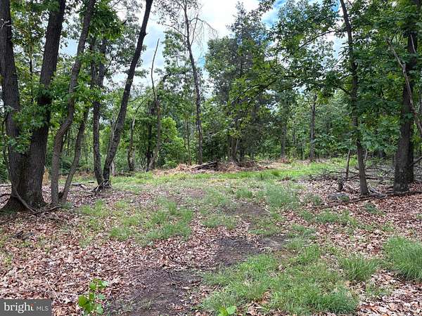 40.2 Acres of Recreational & Residential Land for Sale in Romney, West Virginia