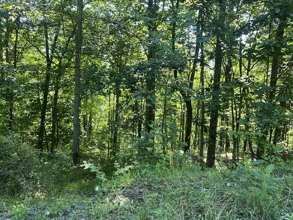 88 Acres of Recreational Land for Sale in Pineville, Kentucky