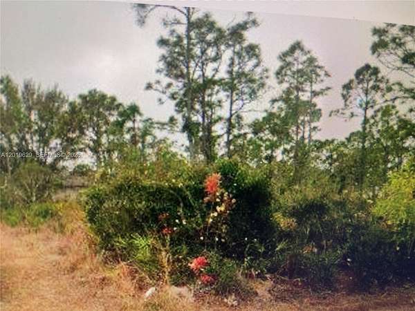 0.17 Acres of Residential Land for Sale in Punta Gorda, Florida