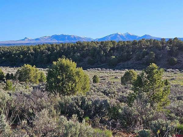 40 Acres of Land for Sale in Hesperus, Colorado