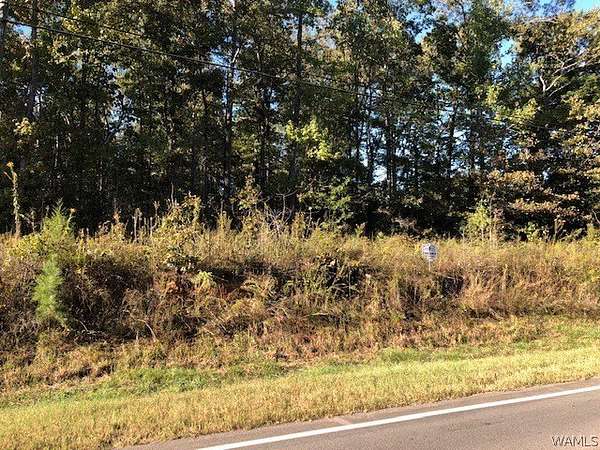 1 Acre of Residential Land for Sale in Duncanville, Alabama