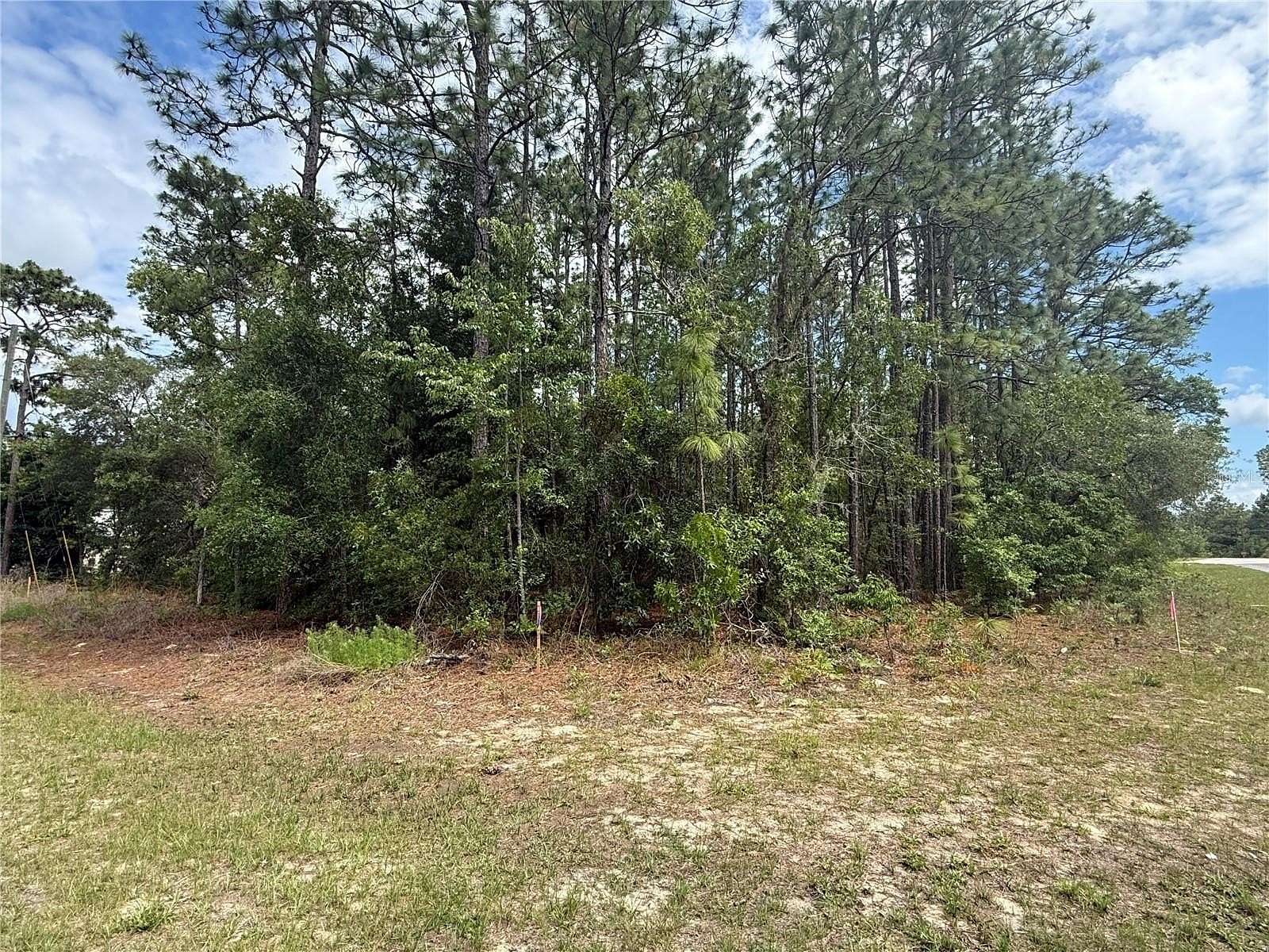 0.31 Acres of Land for Sale in Dunnellon, Florida