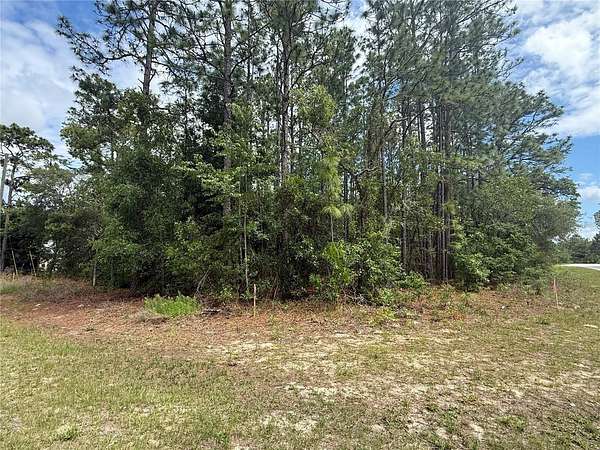 0.31 Acres of Land for Sale in Dunnellon, Florida