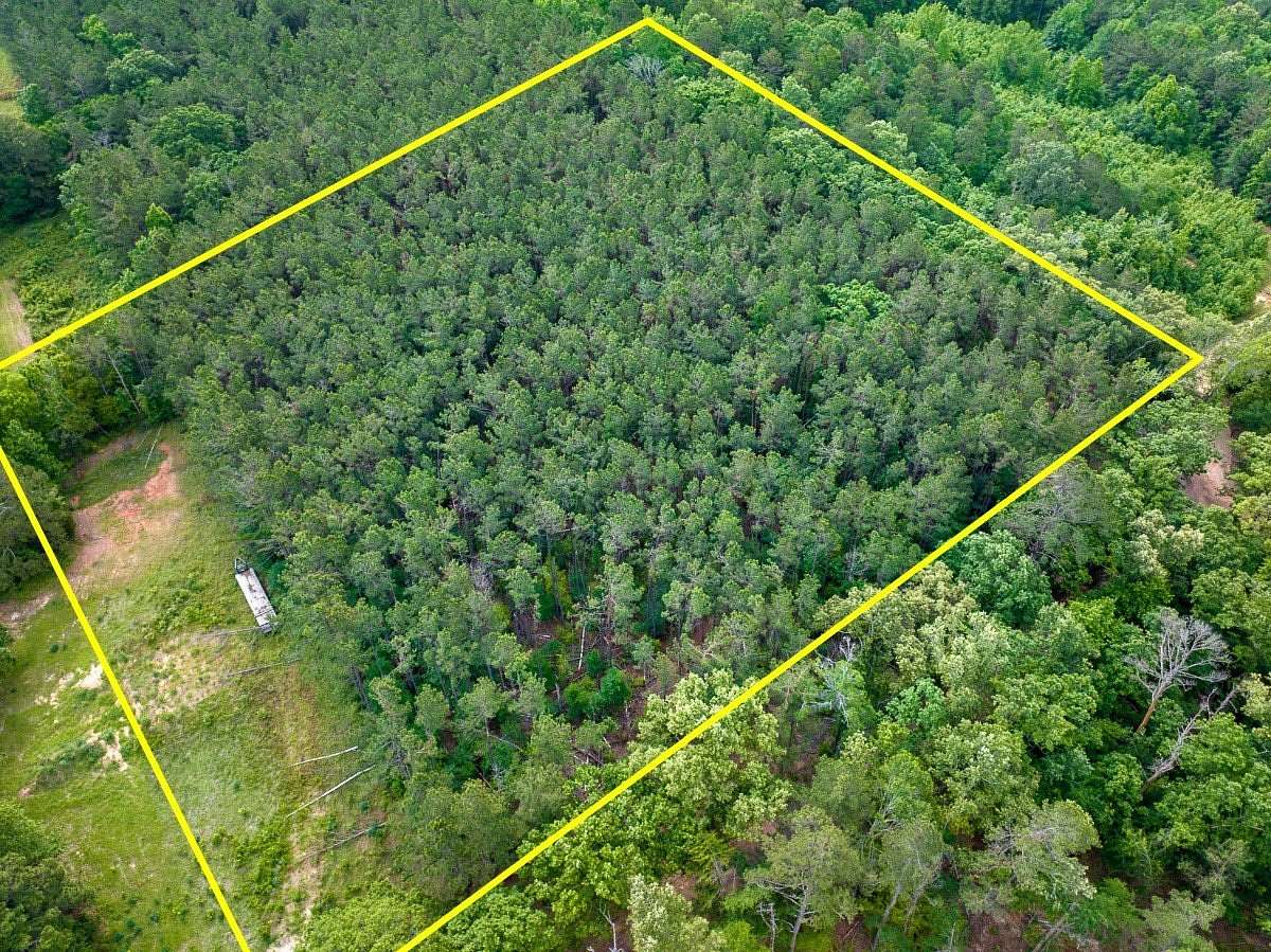 5 Acres of Residential Land for Sale in Henderson, Texas