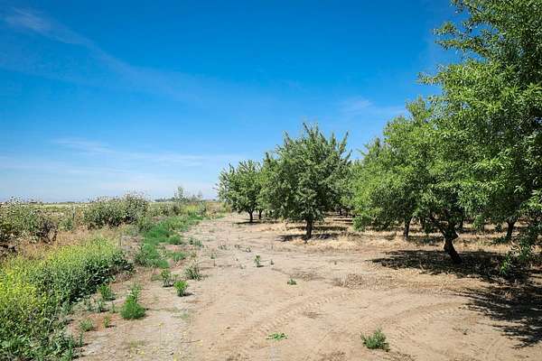 23 Acres of Land for Sale in Merced, California