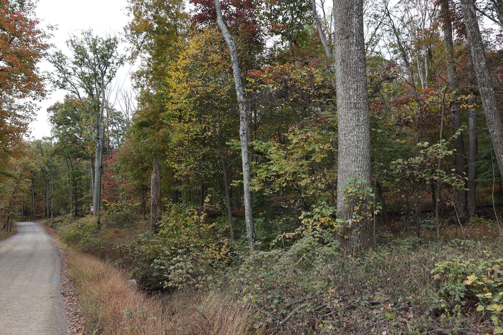 3.8 Acres of Residential Land for Sale in Hedgesville, West Virginia