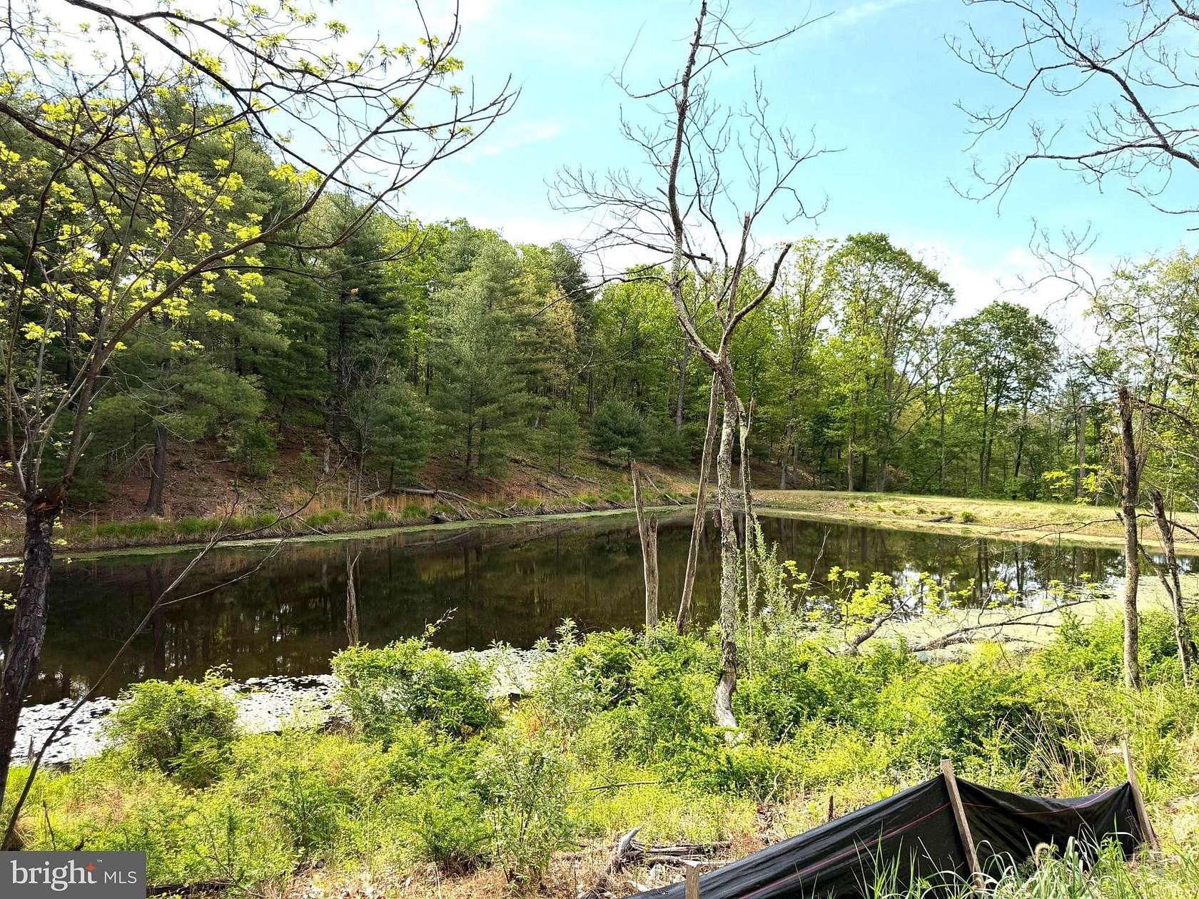 5 Acres of Land for Sale in Cross Junction, Virginia