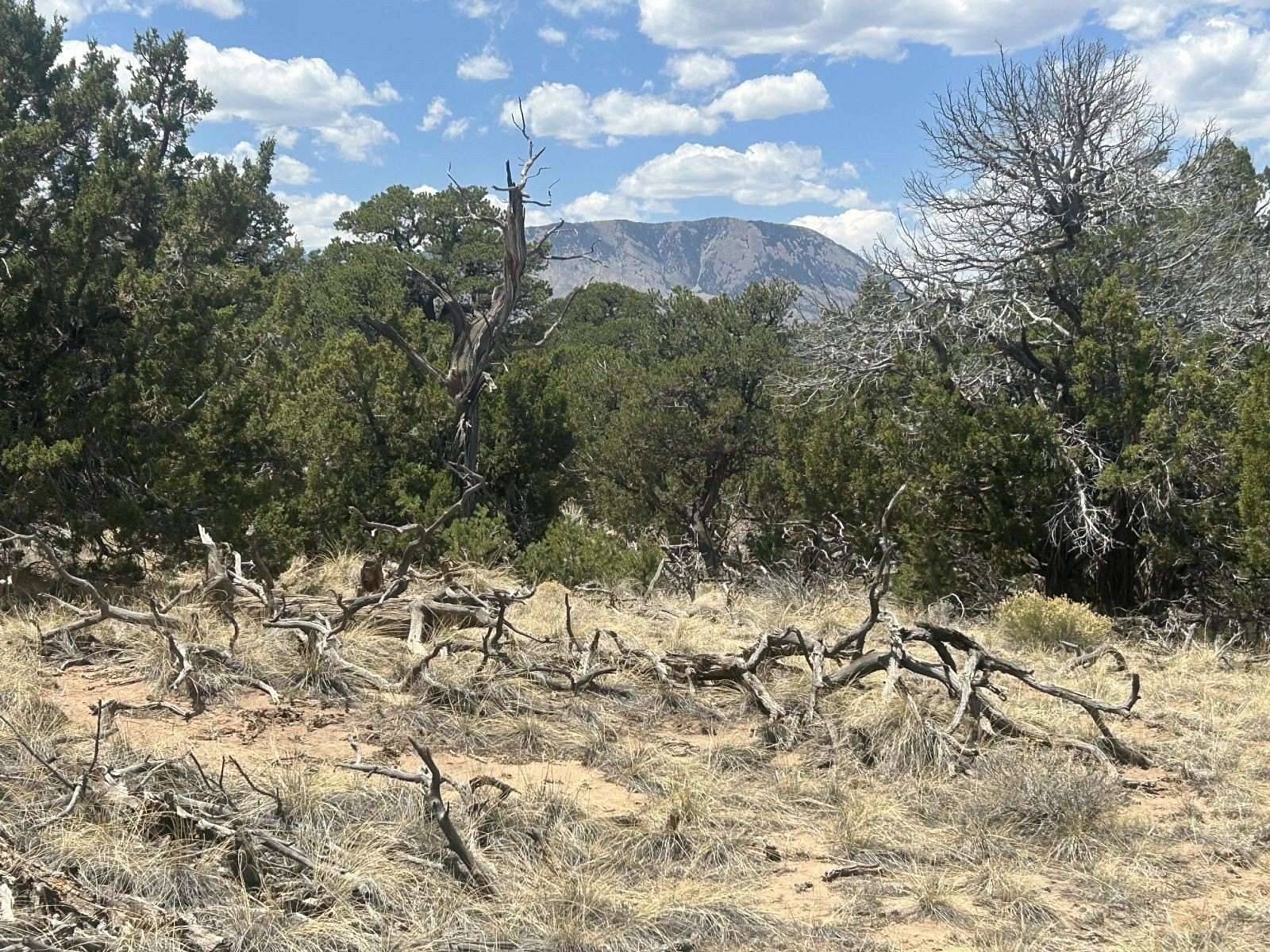 183 Acres of Recreational & Residential Land for Sale in Walsenburg, Colorado