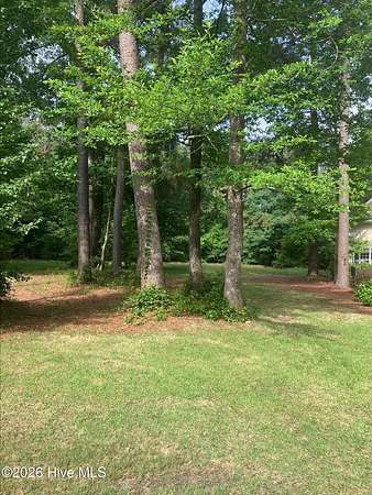 0.36 Acres of Residential Land for Sale in Wallace, North Carolina