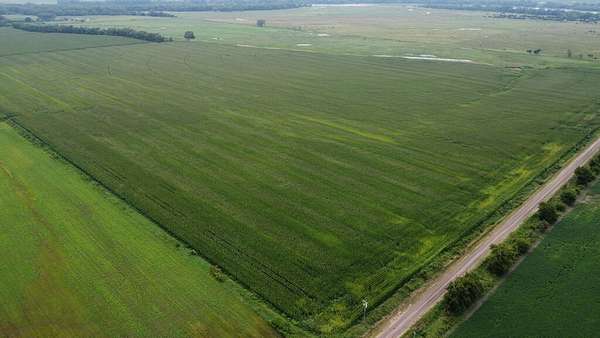 160 Acres of Agricultural Land for Sale in Fullerton, Nebraska