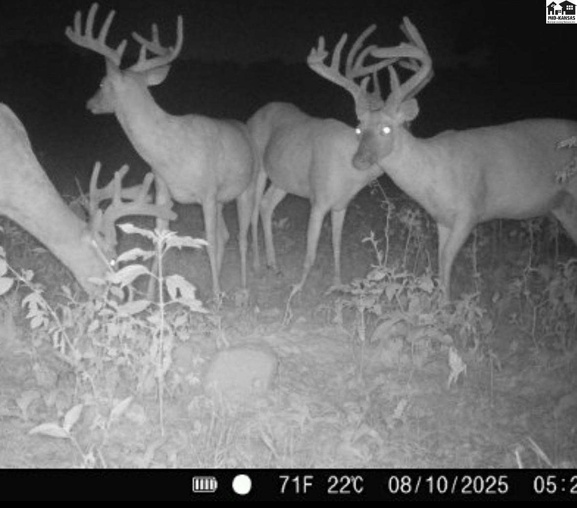 286 Acres of Recreational Land for Sale in Independence, Kansas