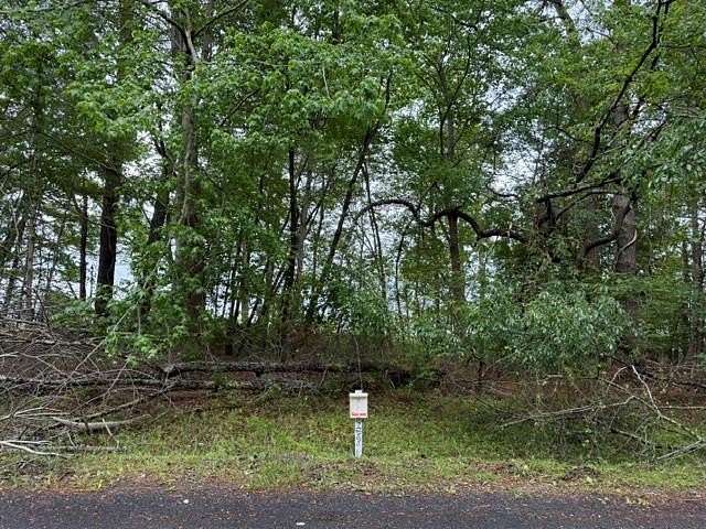 0.25 Acres of Residential Land for Sale in Greenbackville, Virginia