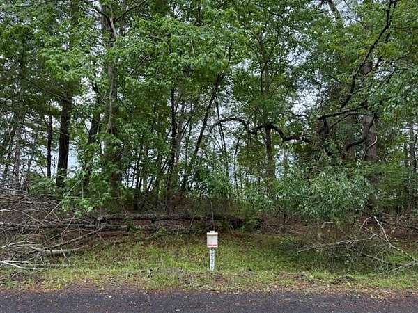 0.25 Acres of Residential Land for Sale in Greenbackville, Virginia
