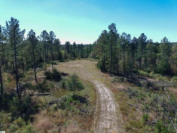 35.1 Acres of Recreational & Residential Land for Sale in Pauline, South Carolina