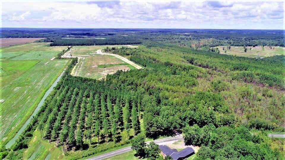 193 Acres of Land for Sale in Summerton, South Carolina