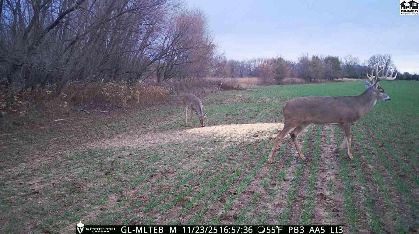 156 Acres of Land for Sale in Harper, Kansas