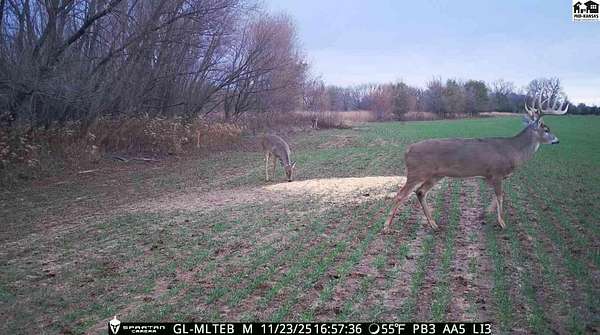 156 Acres of Land for Sale in Harper, Kansas