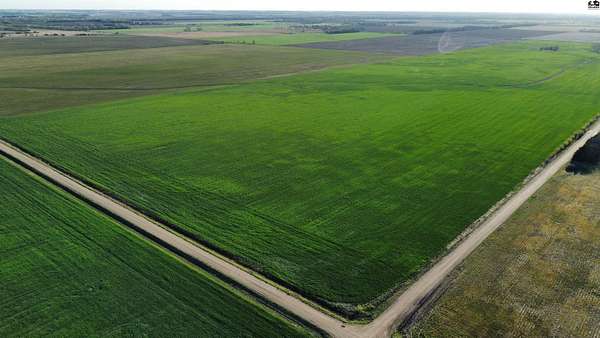 77.8 Acres of Agricultural Land for Sale in Burrton, Kansas