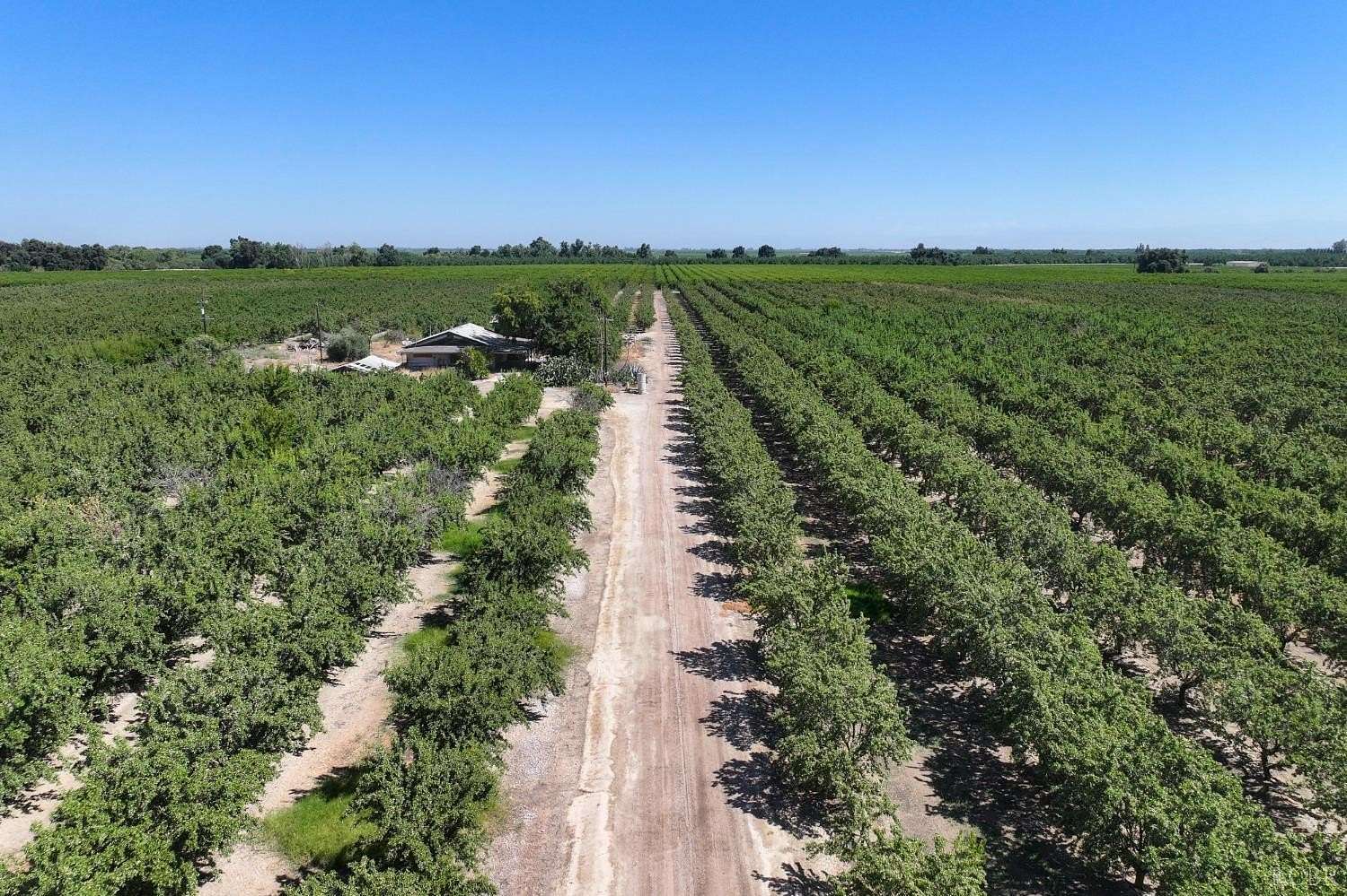 38.3 Acres of Agricultural Land with Home for Sale in Laton, California