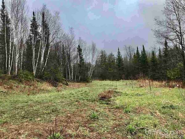 80 Acres of Recreational Land for Sale in Bessemer, Michigan