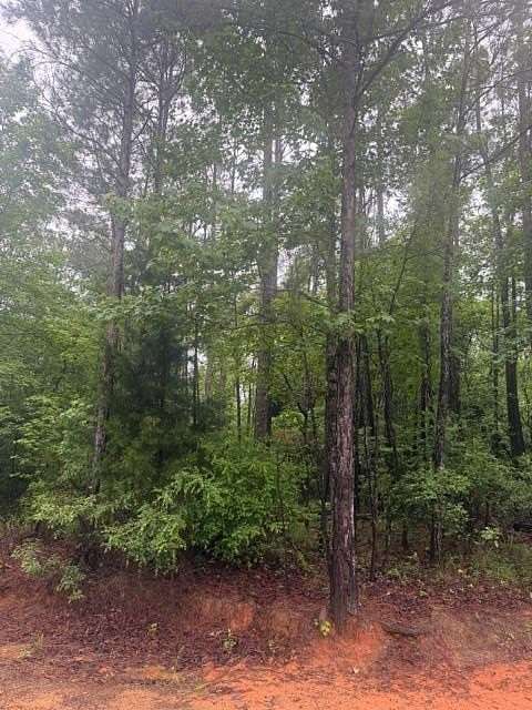 1 Acre of Residential Land for Sale in Abbeville, Alabama