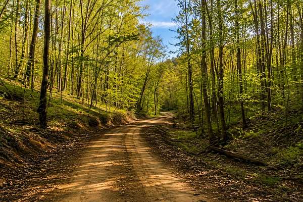 33.7 Acres of Recreational Land for Sale in Manchester, Kentucky