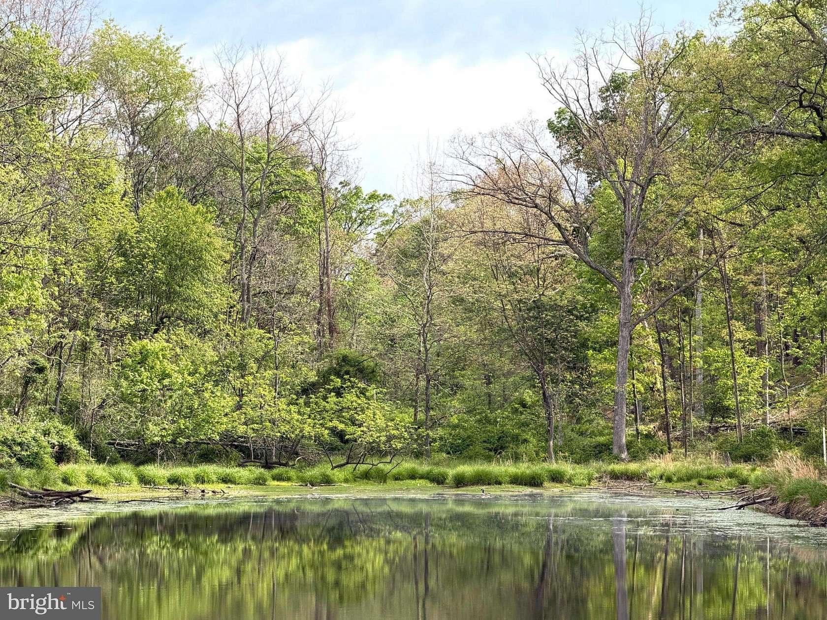 5 Acres of Land for Sale in Cross Junction, Virginia