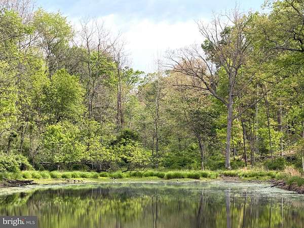 5 Acres of Land for Sale in Cross Junction, Virginia
