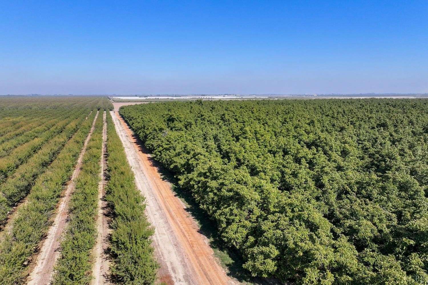 126 Acres of Agricultural Land for Sale in Laton, California