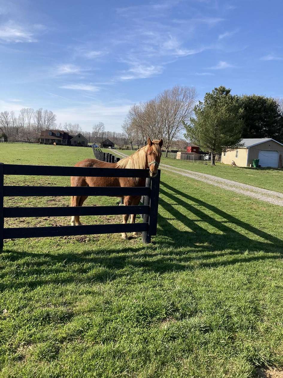 8.17 Acres of Land with Home for Sale in Liberty, Kentucky