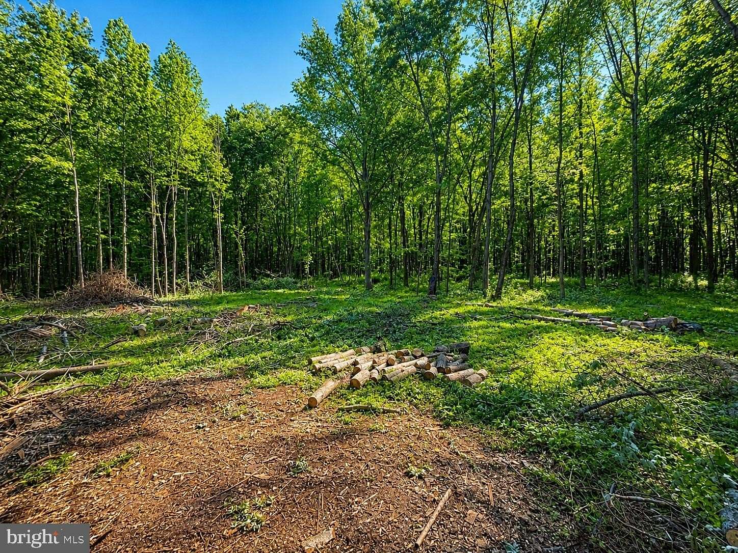 2 Acres of Land for Sale in Chestertown, Maryland