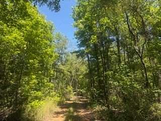 12 Acres of Recreational Land for Sale in Clayton, Alabama