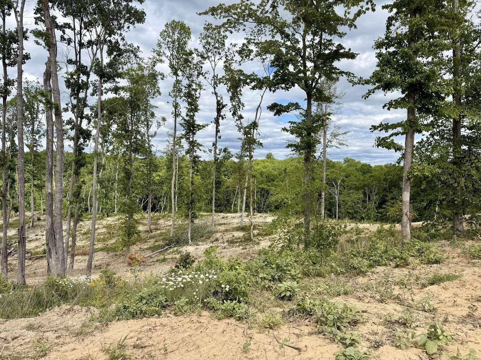 7.88 Acres of Residential Land for Sale in Irvine, Kentucky